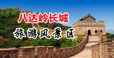 黄色_级日逼中国北京-八达岭长城旅游风景区